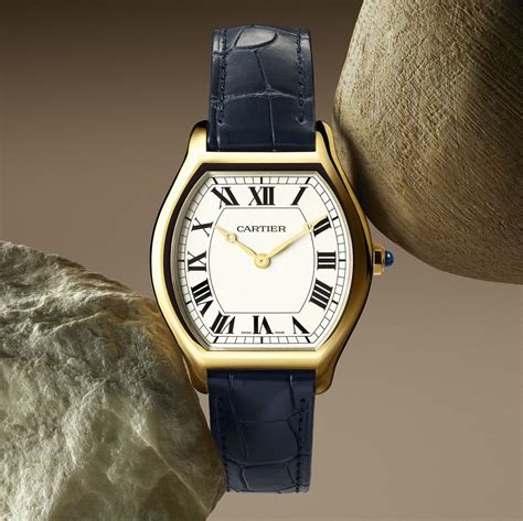 watch wonders cartier|cartier tortue watch.